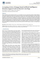 A scoping review of image-based artificial intelligence decision support tools in thoracic oncology